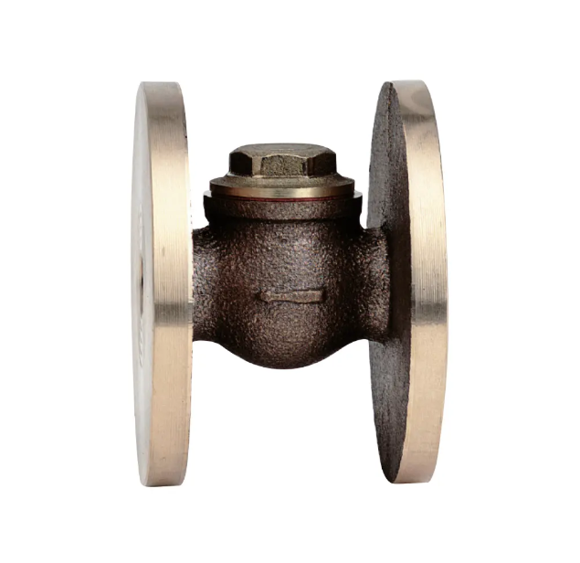 Bronze flanged swing check valve