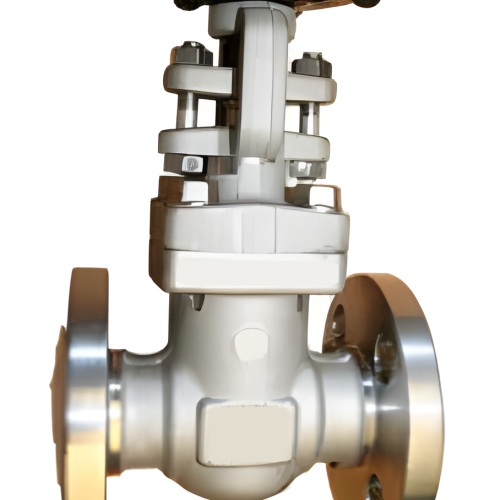 Valvola a saracinesca forgiate